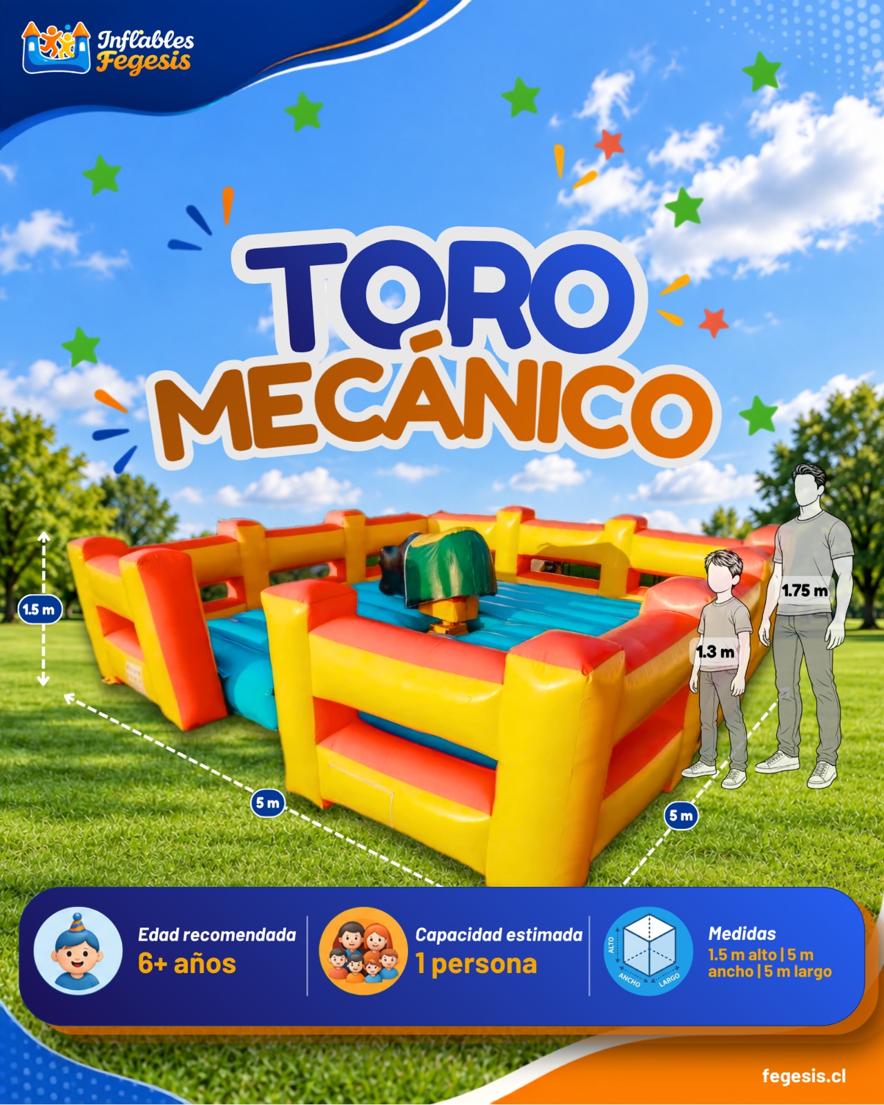 Toro Mecánico